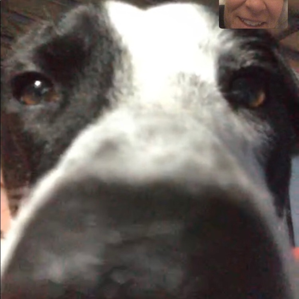 Meet your Posher, Cj